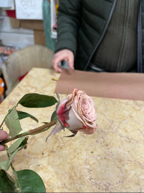 Quale colore avete scelto? - 1