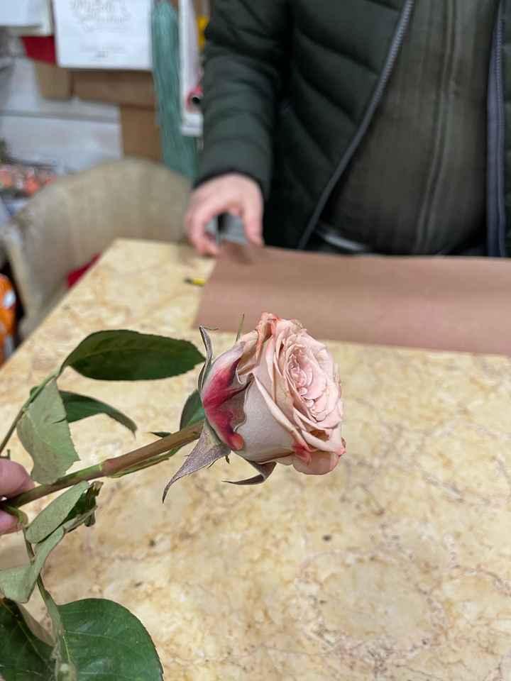 Quale colore avete scelto? - 1