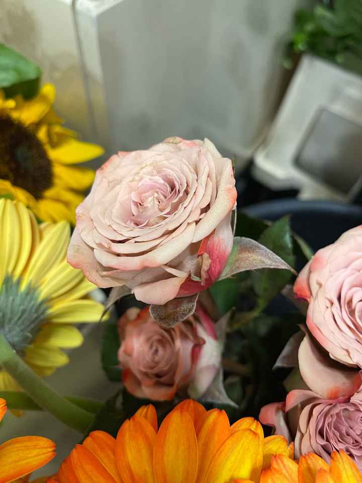 Bouquet: quale scegliere? - 1