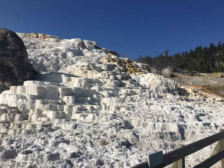  In diretta: America + Polinesia ... Yellowstone! - 1