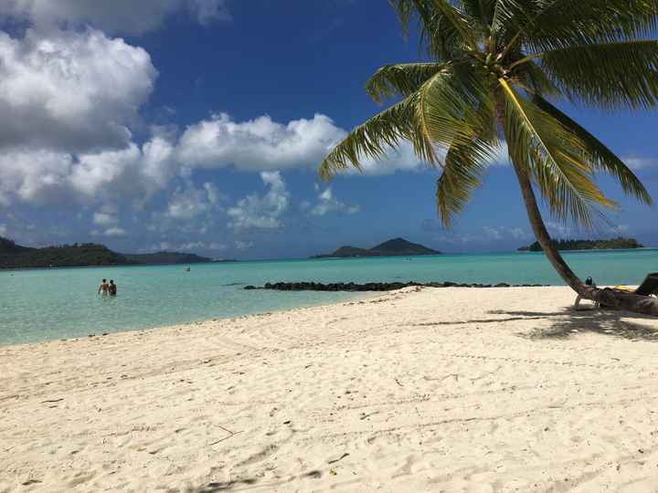  In diretta: America + Polinesia... parte sette Bora Bora - 8