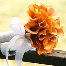 Proposta bouquet