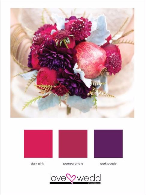 Palette n 5: