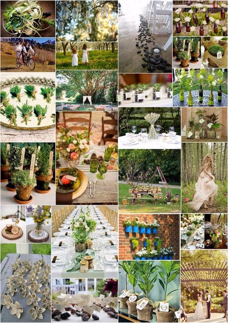 Amanti della natura? Tema green, fiori o erbe aromatiche!