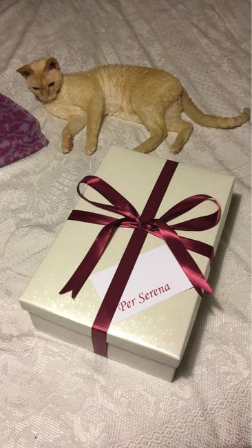 Sorpresa per le damigelle! - 5