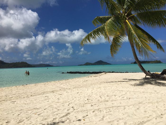  In diretta: America + Polinesia... parte sette Bora Bora - 8