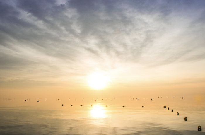 4 tips per contrattare un catering senza sorprese 👇 3