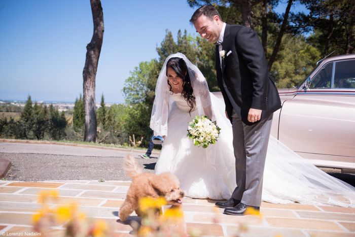  Il mio cucciolo 🐶 👰🏻 - 1