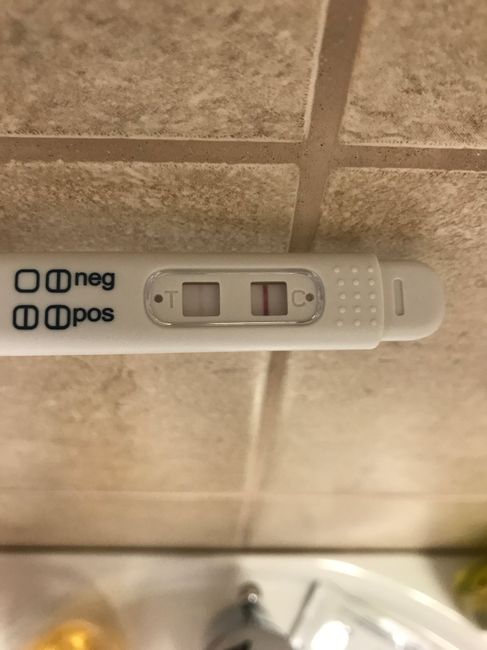 Secondo voi cos'è? 1