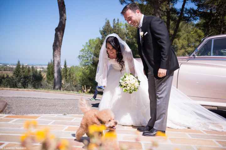 Previoni terribili per la data del matrimonio 😰 28/04/2018 - 1