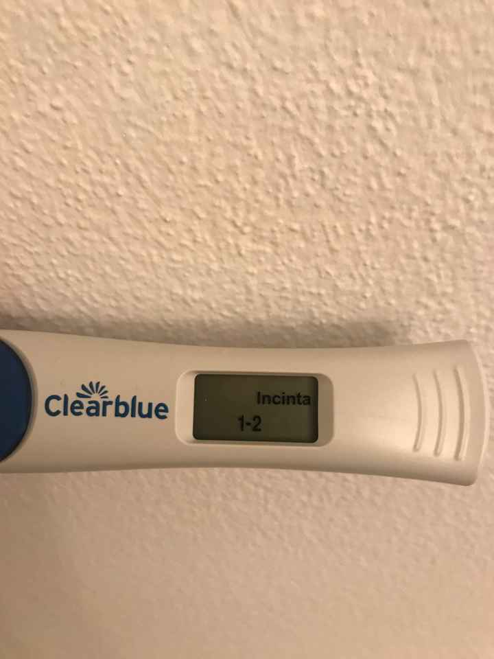 Secondo voi cos'è? - 2