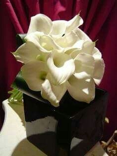 Quale bouquet vi piace in accostamento al tiffany?? - 4