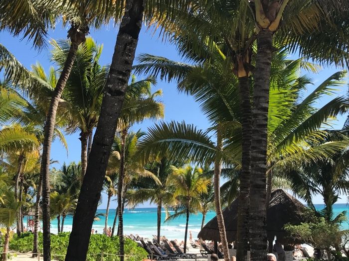 Messico gennaio 2017 - 1