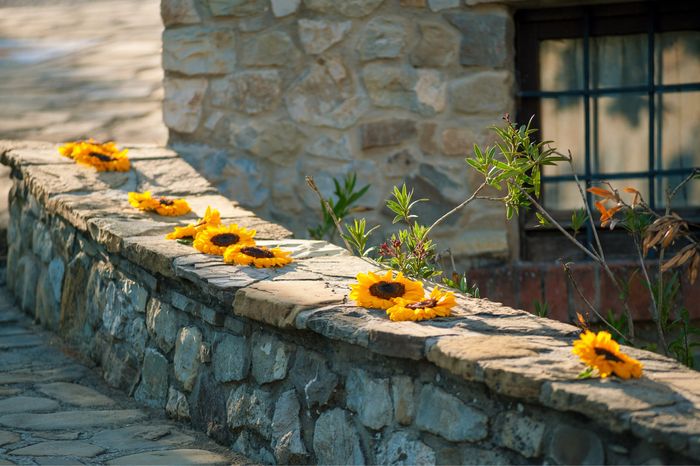 Nozze in giallo! - 5