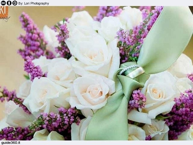 Tema shabby chic o provenzale - 1