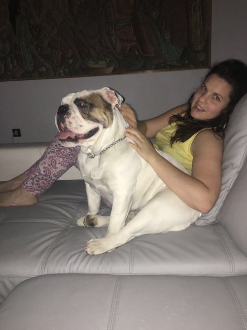 Ci sono i vostri pelosetti nel vostro grande giorno??😍🐶 - 1