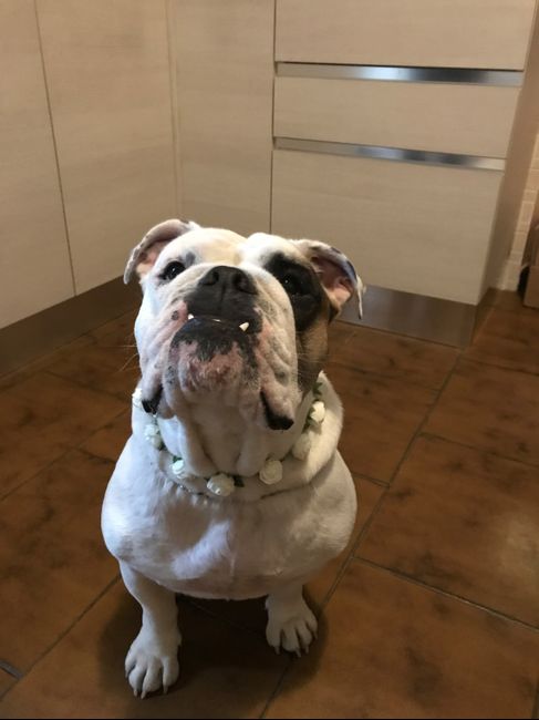  Invitato d'onore.. - 1