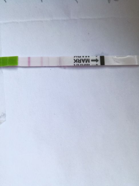 Test ovulazione positivo - 1
