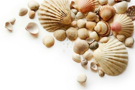 Bomboniera classica o solidale? - 1