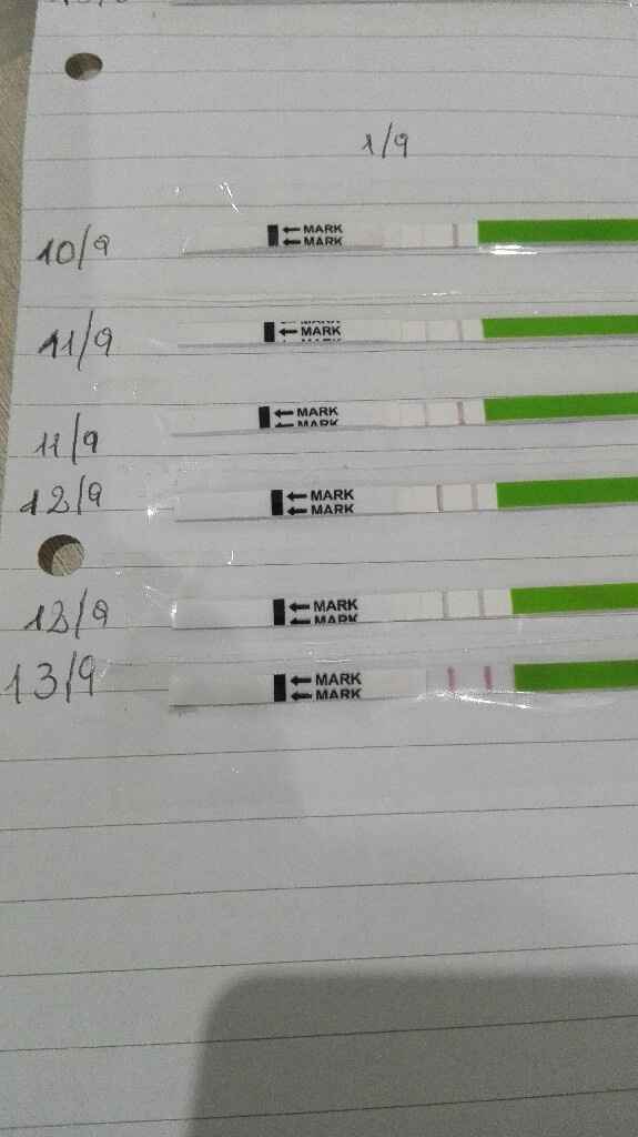  Interpretazione Test ovulazione Aiuto! - 1