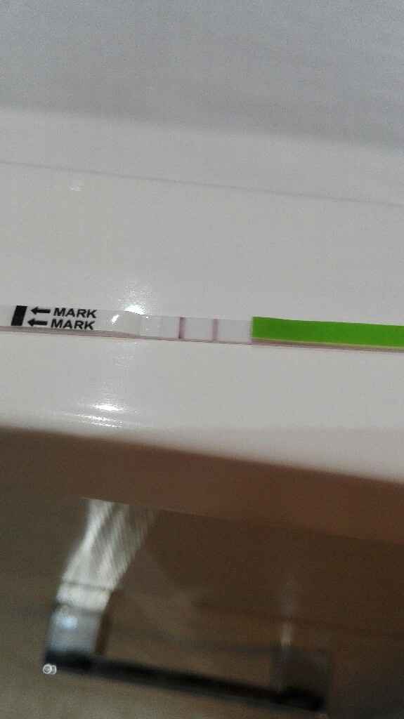  i test gravidanza canadesi sono precoci? - 2