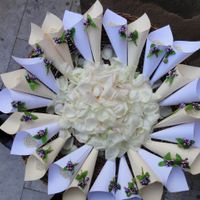 Coni portariso e petali