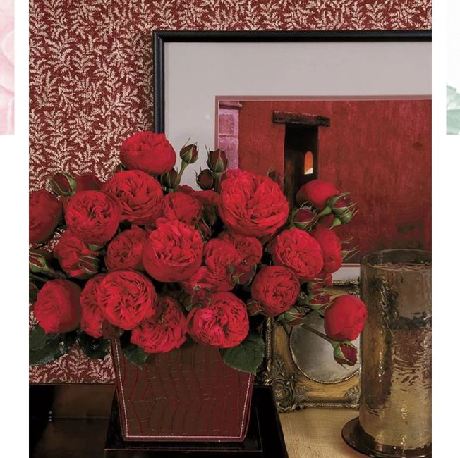 Bouquet sui toni Bordeaux 27