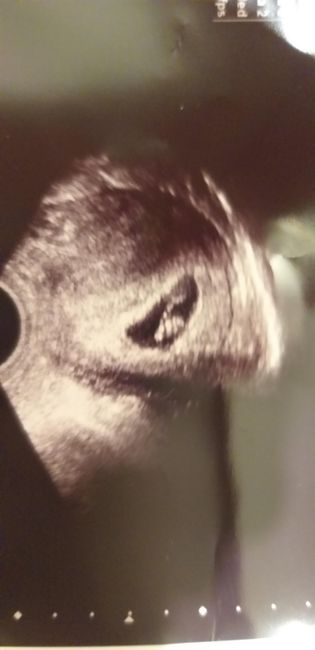 Future Mamme Settembre 2021😍 - 1