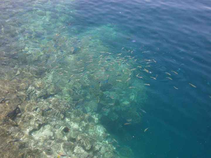 Esperte di egitto, a me!! 😁 - 1