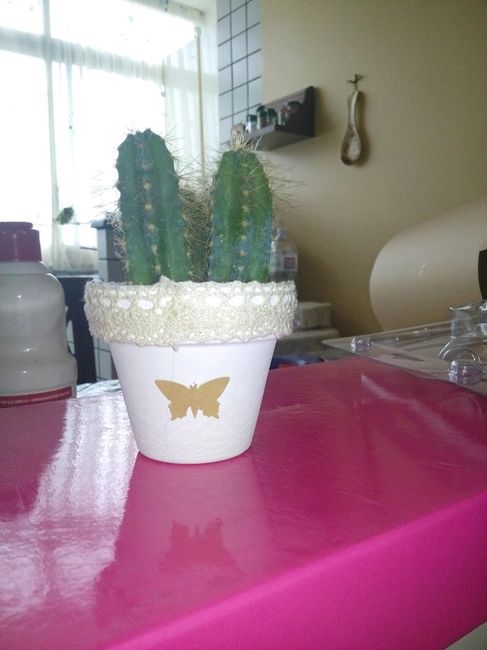 Prove tecniche...che ne dite? - 2