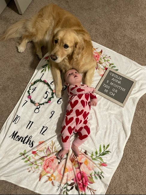 Future mamme novembre 2020 🌞🍁🌷♾ - 1