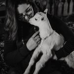 Ilaria