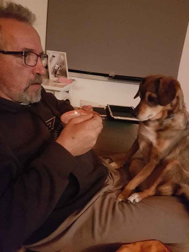 Cani al matrimonio? - 2