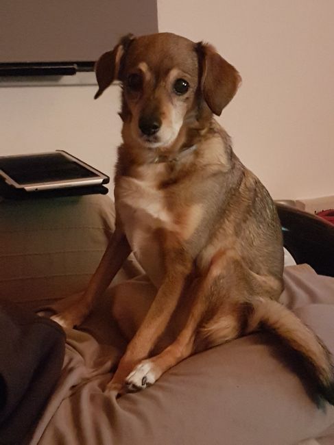 Siamo chico e cuba - 1