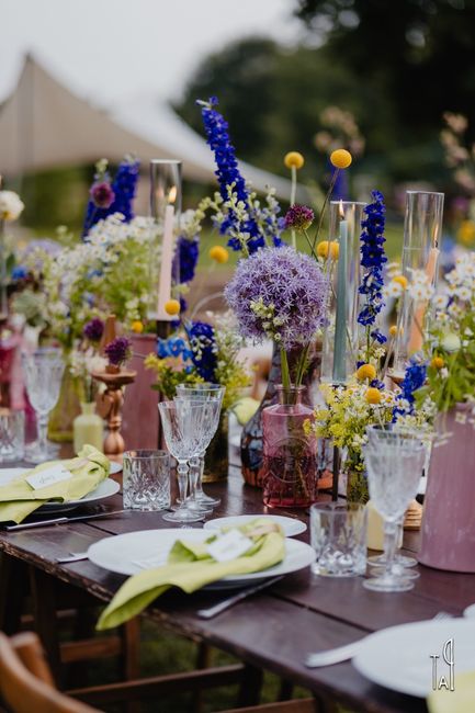 Craspedia e macchie sui vestiti 2