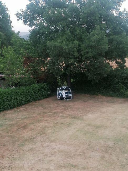 Scherzi al matrimonio 1