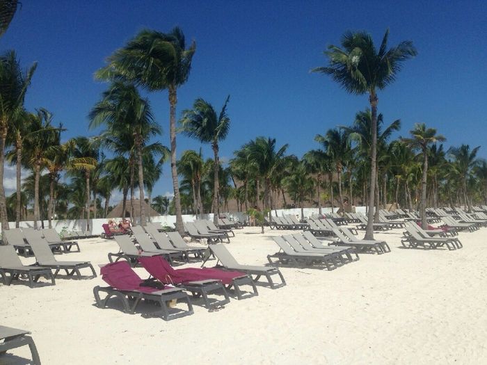 Viaggio: maya beach o aruba - 4