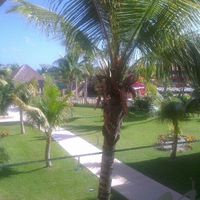 Viaggio: maya beach o aruba - 1