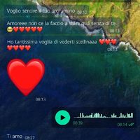 Condividi lo screenshot dell'ultimo messaggio che vi siete inviati - 1