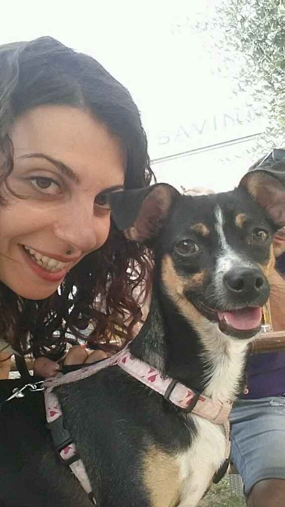 Le foto dei vostri animali - 2