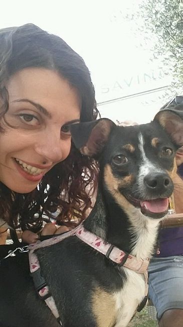 Le foto dei vostri animali - 2