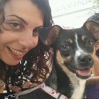 Le foto dei vostri animali - 2