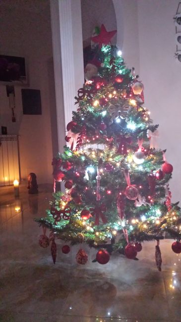 Il nostro primo albero di natale - 2