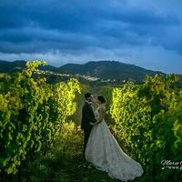 Il nostro sì! 11agosto2016 - 2