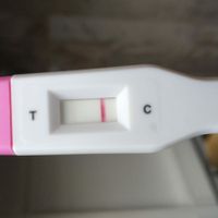 Chi non le aspetta per novembre 2019 - 1