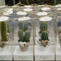 Bomboniere fai da te. - 1