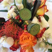 Ecco alcune foto - 6