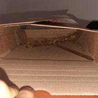 The light factory - esperienze d'acquisto? - 2