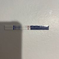 Ghost o positivo? - 1