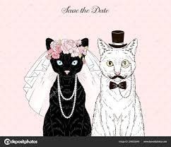 Wedding Cats!!! 3